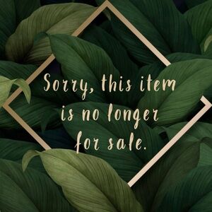 SOLD Vans X Collina Strada Sweatpants XL Neon Yellow Streetwear Maximalist